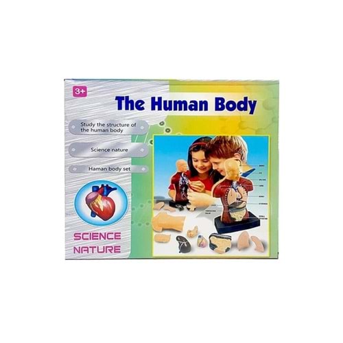 Human Body Kutulu İnsan Vücudu 3301