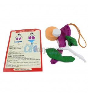 Akciğer Set 5678