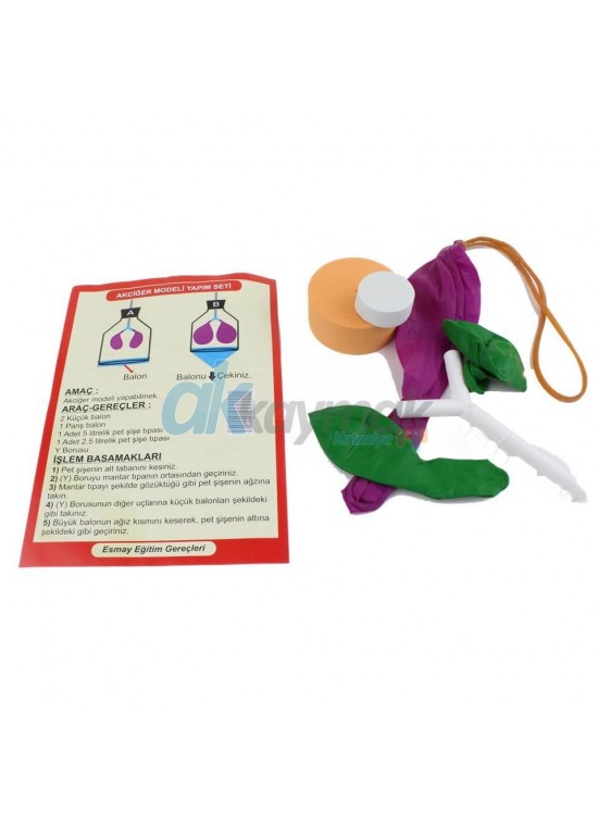 Akciğer Set 5678