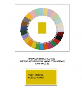 Alex Schoeller Fon Kartonu 160 GR 25x35 53 Sarı (1 Adet)