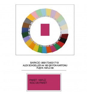 Alex Schoeller Fon Kartonu 160 GR A4 58 Fuşya (1 Adet)