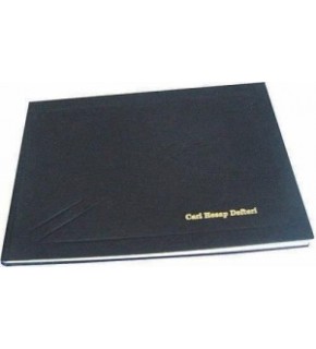 Altınyıldız Cari Defter 17X24 96 Yp