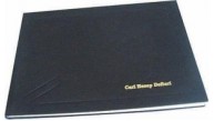 Altınyıldız Cari Defter 17X24 96 Yp