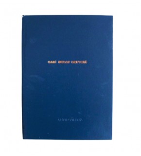 Altınyıldız Cari Defter 20X28 Dik 96 Yp