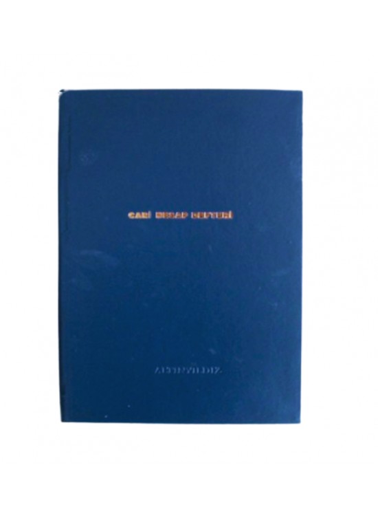 Altınyıldız Cari Defter 20X28 Dik 96 Yp