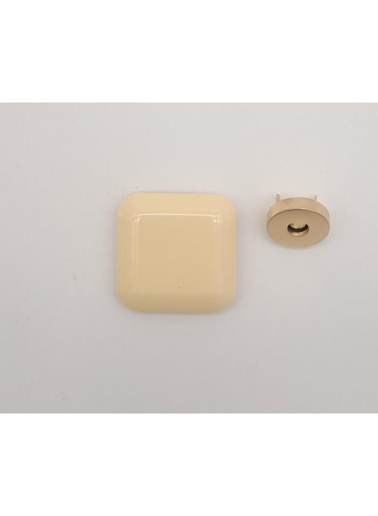 Çanta Aksesuar 3.5 cm Kare Akrilikli Krem Renk Light Gold Mıknatıslı Kilit
