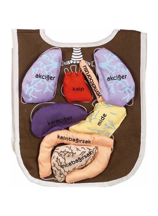 Anki Toys Cırtlı Eğitici Organ Önlüğü And-5011