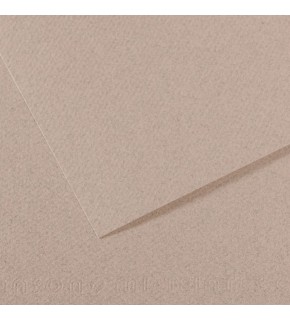 Canson Fon Kartonu (Dokulu) Mı-Teıntes Sh Canmt 50x65 160 gr Grey 426 (1 Adet)
