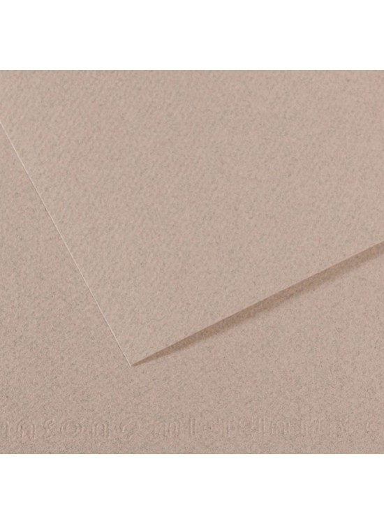 Canson Fon Kartonu (Dokulu) Mı-Teıntes Sh Canmt 50x65 160 gr Grey 426 (1 Adet)
