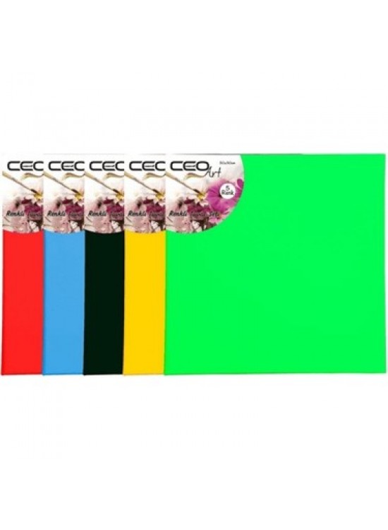 Ceoart 40X40 Renkli Tuval