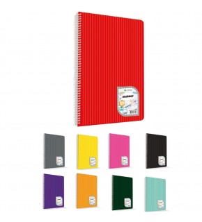 Çınar Colormaxi Spiralli Defter Plastik Kapak A4 40 YP Kareli 40/4