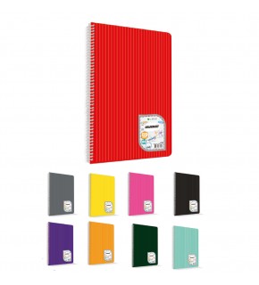 Çınar Colormaxi Spiralli Defter Plastik Kapak Çizgili 60 YP A4 60/1 73013