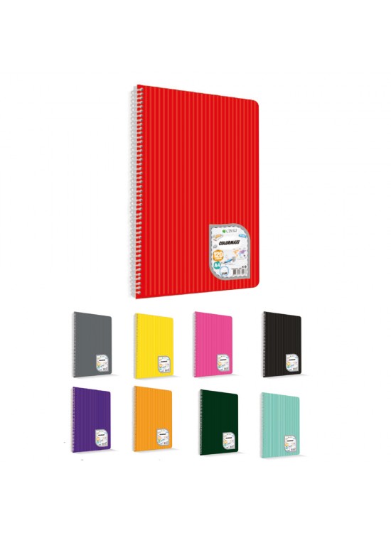 Çınar Colormaxi Spiralli Defter Plastik Kapak Çizgili 60 YP A4 60/1 73013