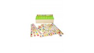 Circle Toys Bilgi Sınıflandırma Kutusu CRCL-114