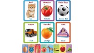 Circle Toys İlk 100 Sözcük 12+Ay  Ct006