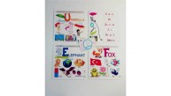 Circle Toys İngilizce Alfabe CRCL-033