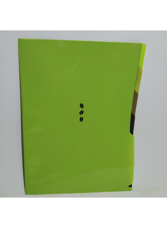 Comix L Dosya A4 4 Lü Florasan Renkler A7434