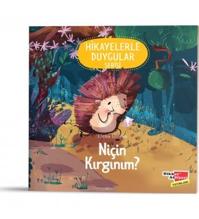 Dikkat Atölyesi Niçin Kırgınım? (Hikayelerle Duygular 4)