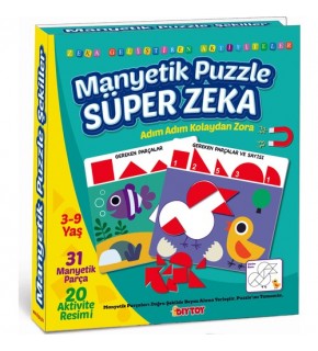 Dıy Toy Manyetik Puzzle Süper Zeka 3-9 Yaş Iq1536