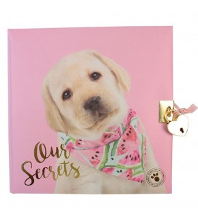 Dolphin Hatıra Defteri Studıo Pets Kilitli Pt-7790
