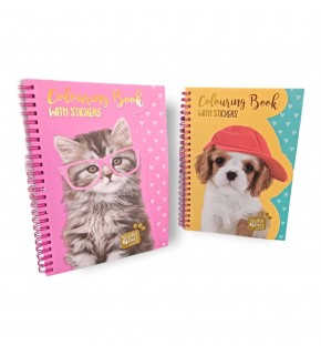 Dolphin Studıo Pets A5 Stıckerlı Defter Pt-7786
