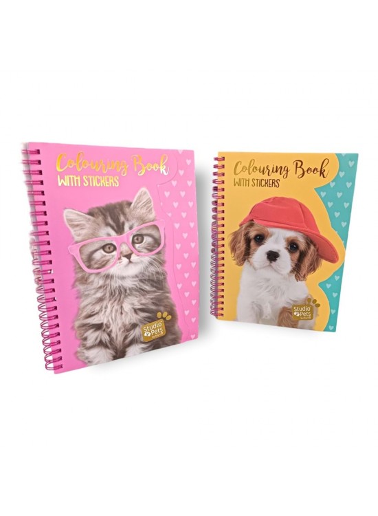 Dolphin Studıo Pets A5 Stıckerlı Defter Pt-7786