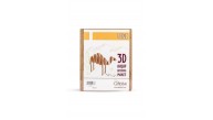 Giftölye 3D Ahşap Biblo Deve HB-004