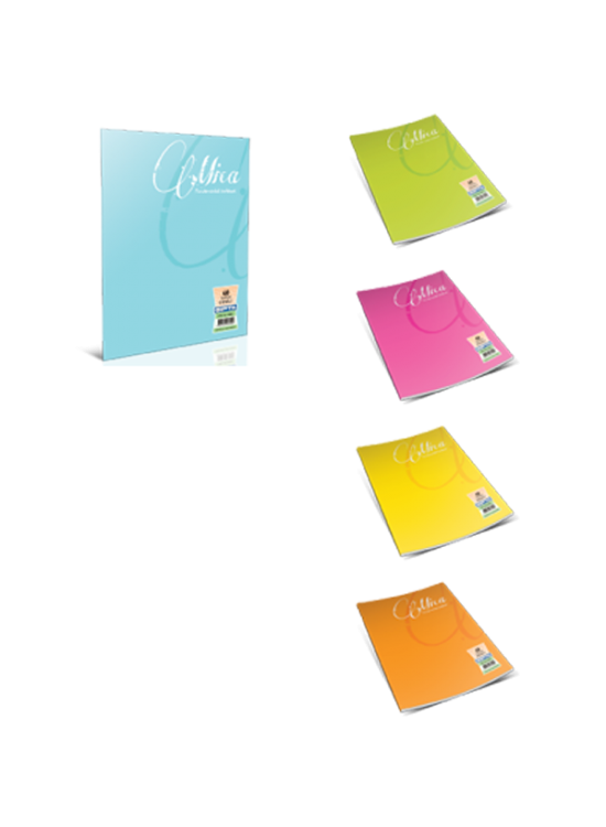Gıpta Defter (Dikişli ) Mica Plastik Kapak Kareli 60 YP A5 1712