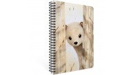 Gıpta Sneak Peek Spiralli Karton Kapak Defter A4 80 Yp Kare.