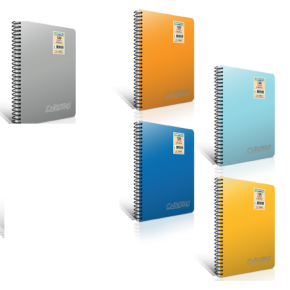 Gıpta Spiralli Defter Chromo Plastik Kapak Çizgisiz 100 YP A4 2065