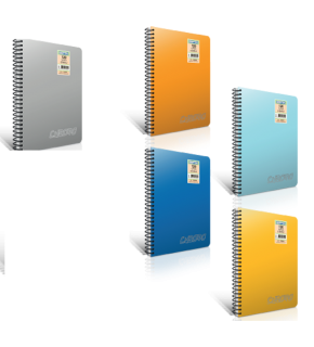 Gıpta Spiralli Defter Chromo Plastik Kapak Çizgisiz 100 YP A4 2065
