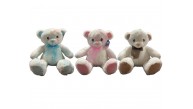 Halley 40cm Peluş Mavi Pembe Ayı 62422
