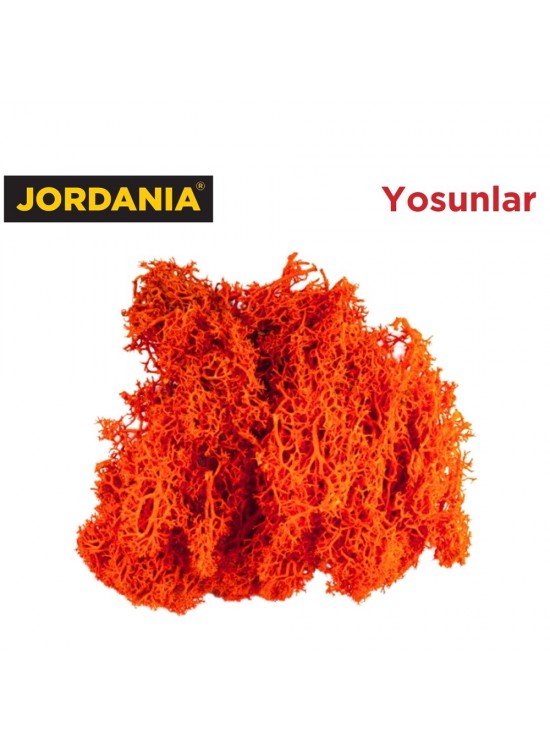 Jordania Yosun 4066 Turuncu 10 Gr JE00-0504066 (Maket Ürünüdür)