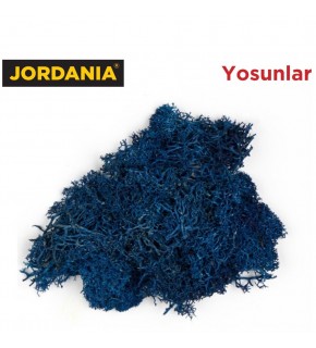 Jordania Yosun 6003 Lacivert 10 Gr JE00-0506003 (Maket Ürünüdür)