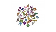 Kika Foam Sticker Eva