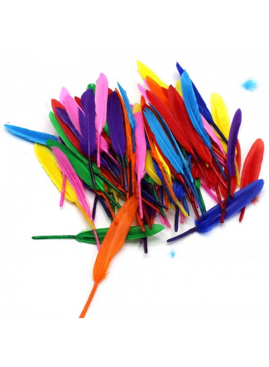 Kuş Tüyü 16cm 12 li HKD-108