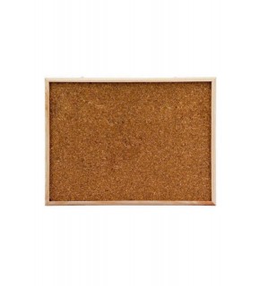 Mantar Pano 60x90