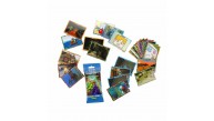 Minecraft Tc Fat Pack 1 Adet