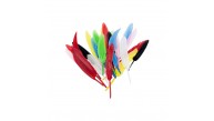 Neon Kuş Tüyü 16cm 12 li HKD-108