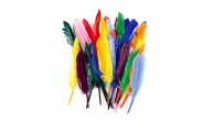 Neon KuşTüyü 20cm 10 lu HKD-109