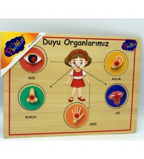 Playwood Ahşap Tutmalı Organlar Ony-166/167
