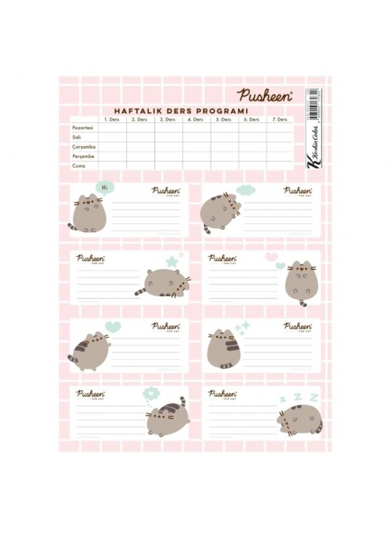 Pusheen Ders Programlı Etiket 3 Lü 220130-10
