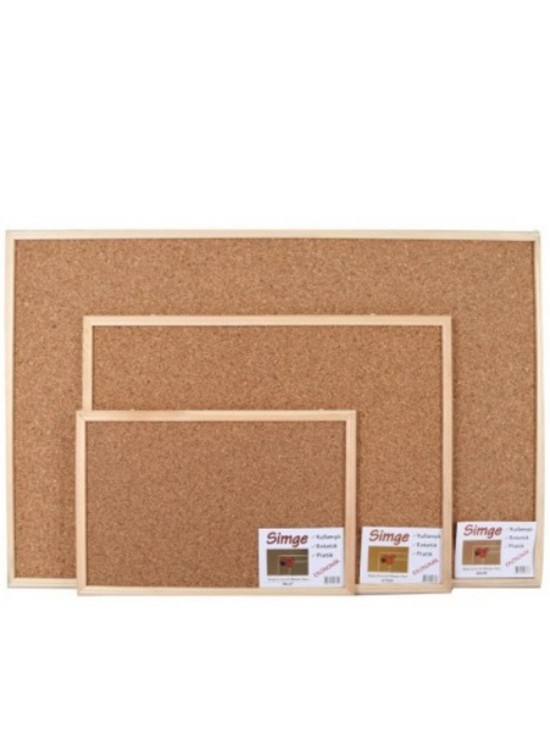 Simge Mantar Pano 30x45 0135