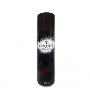 Sprey Boya 170 Ml Siyah