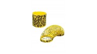 Sunman Rainbow Zoo Stres Yayı (1 Adet)