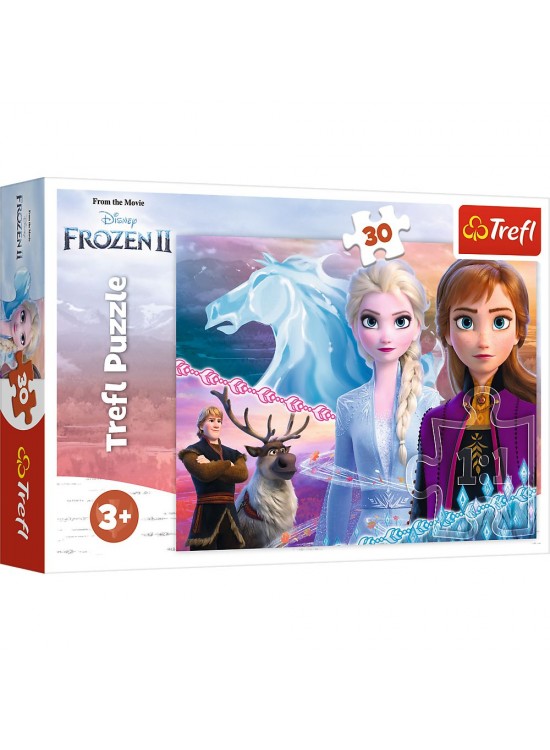 Vardem 30 Parca Frozen 2