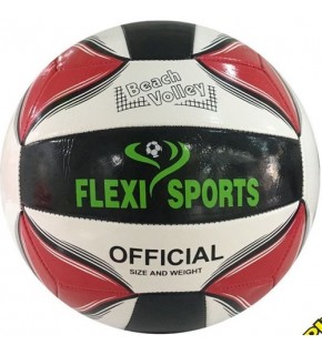 Voleybol Topu