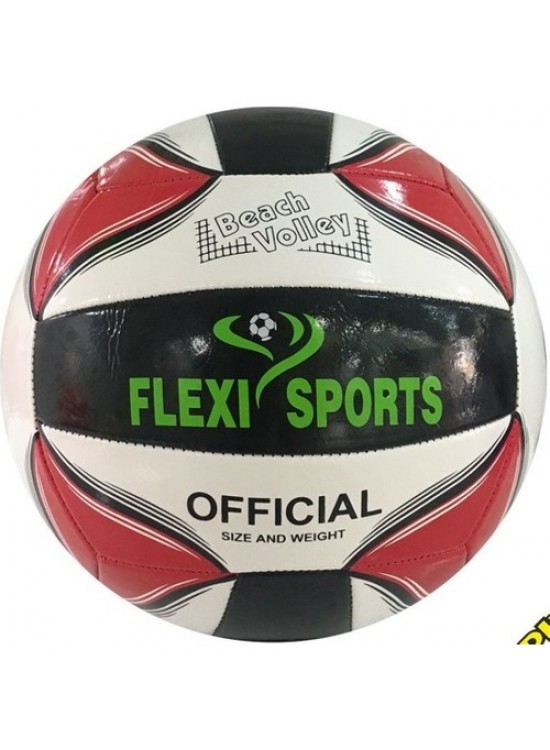 Voleybol Topu