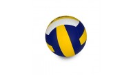 Voleybol Topu